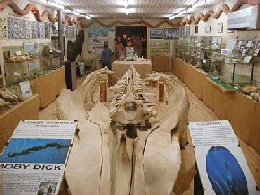 Museo del Mar - Punta del Este
